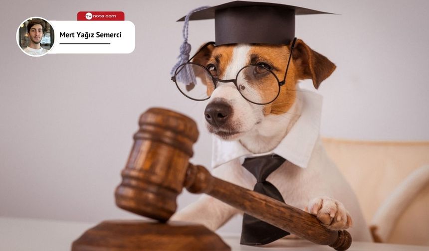 Köpeklerin canına kıydığı iddia edilen doktor tutuklandı