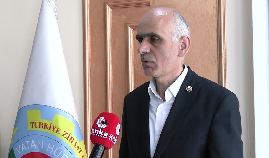Giresun Ziraat Odası Başkanı Karan: “2025 fındık rekoltesi 500 bin tonun altında kalabilir”