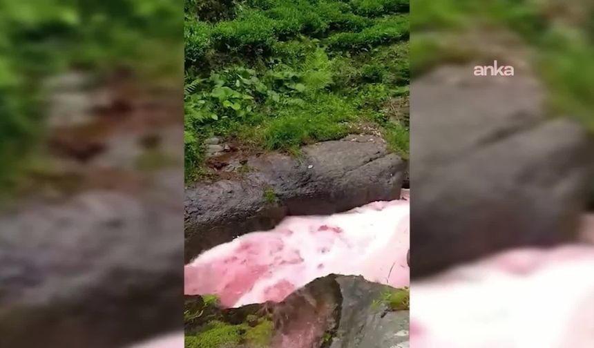Güneysu'da rengi kırmızıya dönen dere bölge halkını endişelendirdi