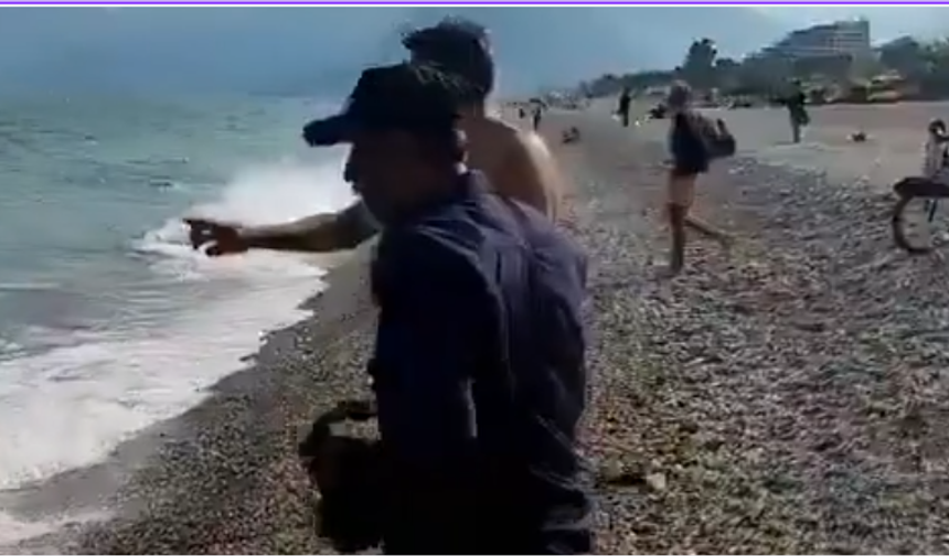 Konyaaltı sahilinde köpek balığı paniği