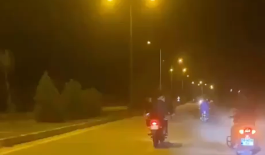Çiftlikten kaçan atlar, trafiği birbirine kattı
