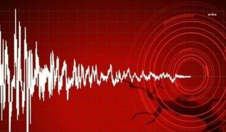 Bingöl'ün Genç ilçesinde 4.0 büyüklüğünde deprem