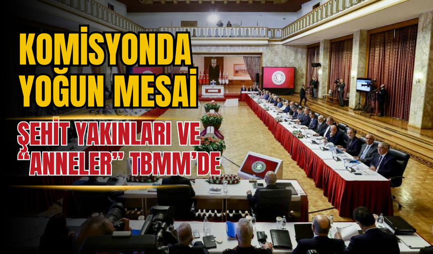 Komisyonda Yoğun Mesai: Şehit Yakınları ve Anneler TBMM’de