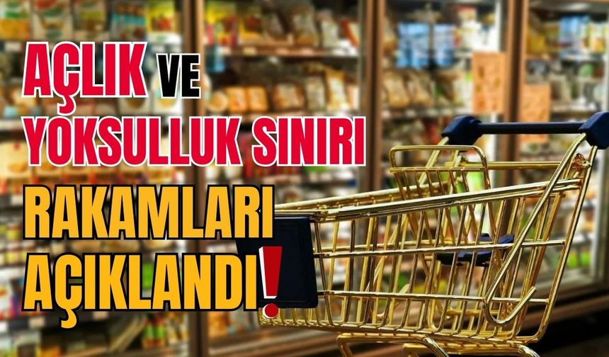 Açlık ve yoksulluk sınırı rakamları açıklandı