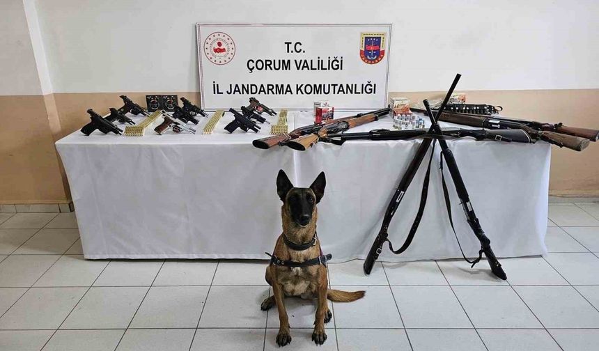 Jandarmadan ’düğün magandaları’na operasyon : 11 gözaltı