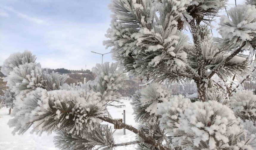 Ardahan'da dondurucu soğuklar etkili oldu