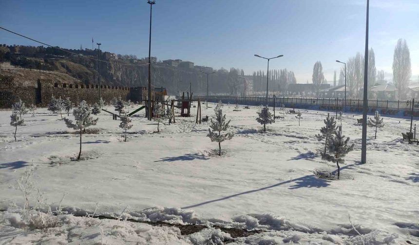 Ardahan'da Sibirya soğukları hayatı olumsuz etkiliyor
