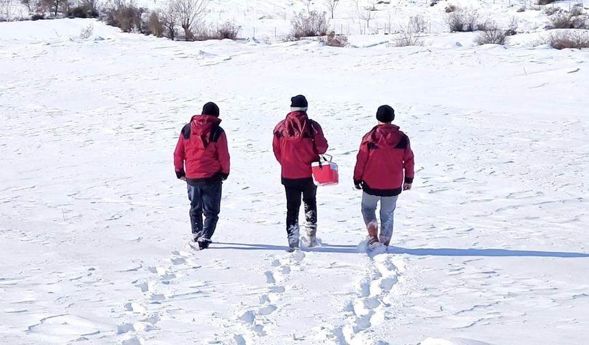 Beyaz esaretin içinde hayat kurtaran eller