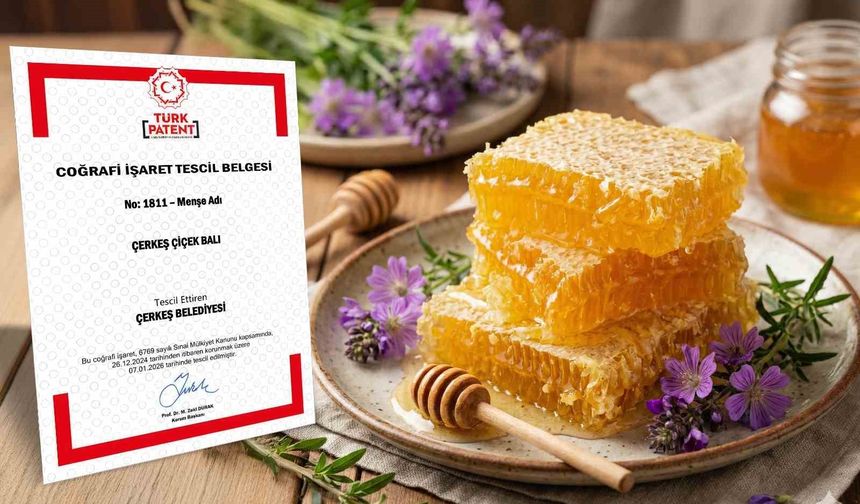 Çerkeş çiçek balı coğrafi işaret tescili aldı