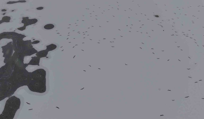 Cip Baraj Gölü buz tuttu