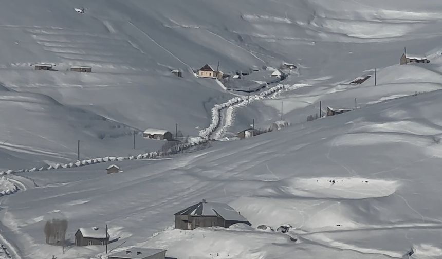 Hakkari kar yağışı: 51 yerleşim yerinin yolu kapandı