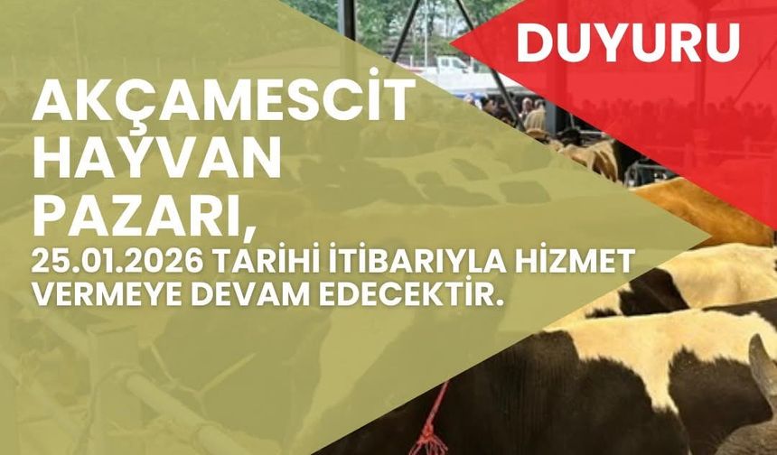 Hayvan pazarı 4 ay sonra yeniden hizmete açılacak