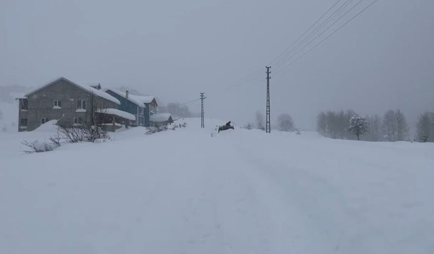 Karın tadını çıkarmak için İstanbul'dan Sivas'a akın ettiler