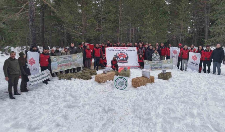 Kastamonu'da karla kaplanan ormanlara yaban hayvanları için yiyecek bırakıldı