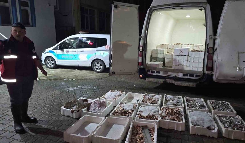 Kastamonu'da yasa dışı avlanan 1,5 ton balığa el konuldu