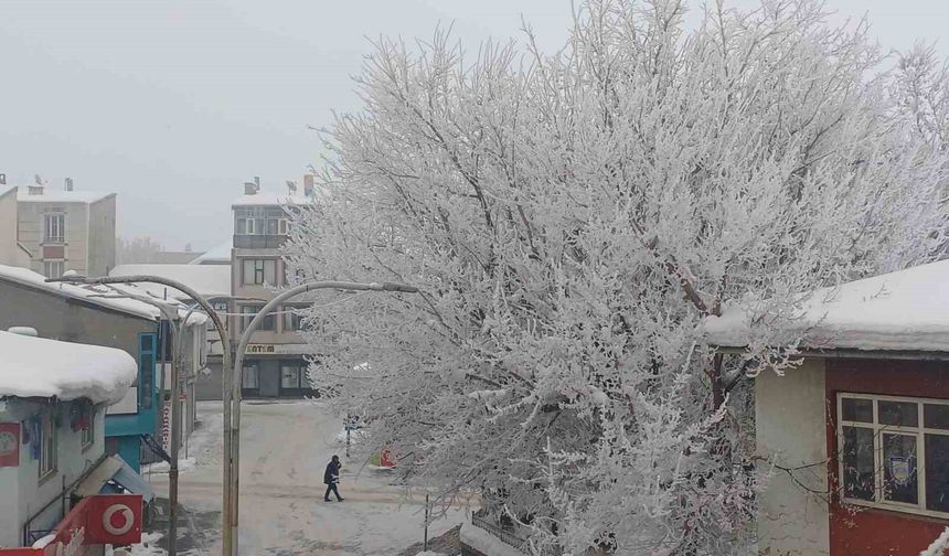 Malazgirt'te dondurucu soğuklar görsel şölene dönüştü