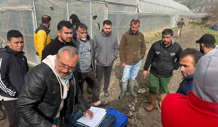 Seydikemer'de hortumun vurduğu seralarda hasar tespit çalışmaları başladı
