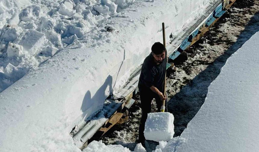 Şırnak'ta arıcıların zorlu kış mesaisi