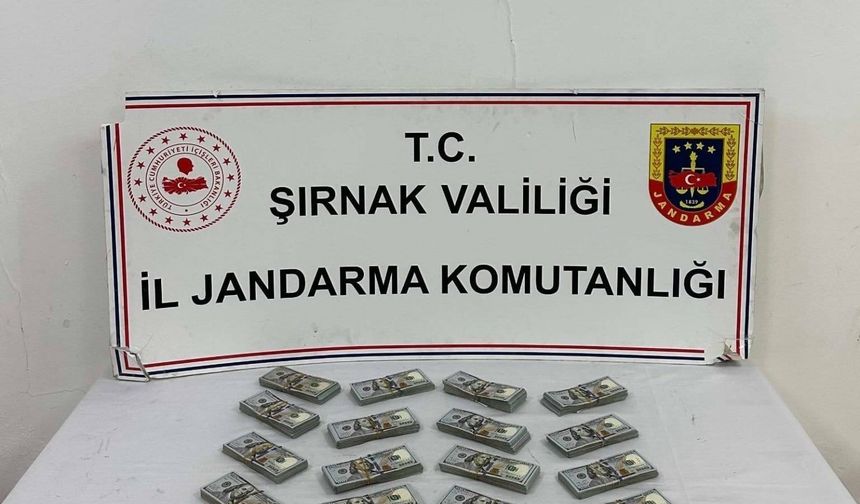 Şırnak'ta jandarma ekiplerinden kaçakçılığa darbe