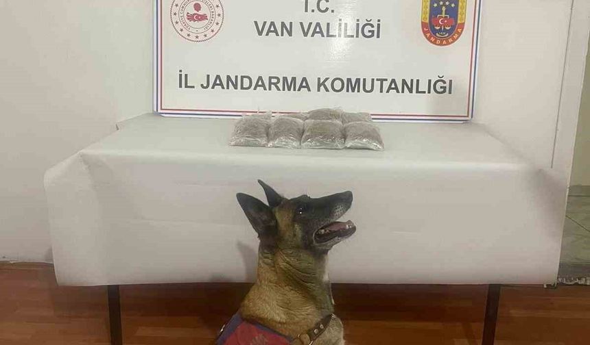 Van'da uyuşturucu madde ele geçirildi