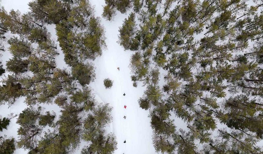 Tersun Dağı'nda zorlu kış yürüyüşü: Kar kalınlığı 1,5 metreyi buldu