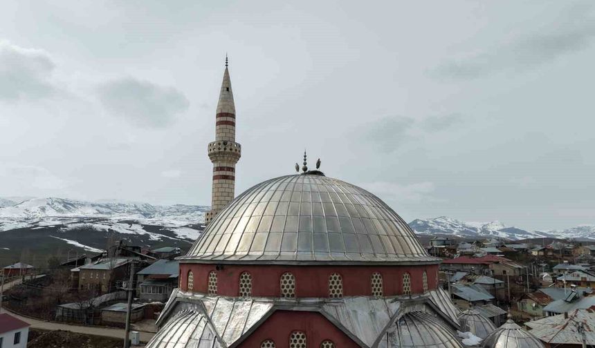 'Baharın habercisi' leylekler Muş Ovası'na gelmeye başladı