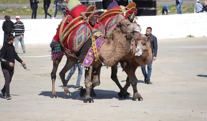 Başkan Kaya: 'Bu yıl sezonun ilk güreşlerini yapmak bizlere nasip oldu'