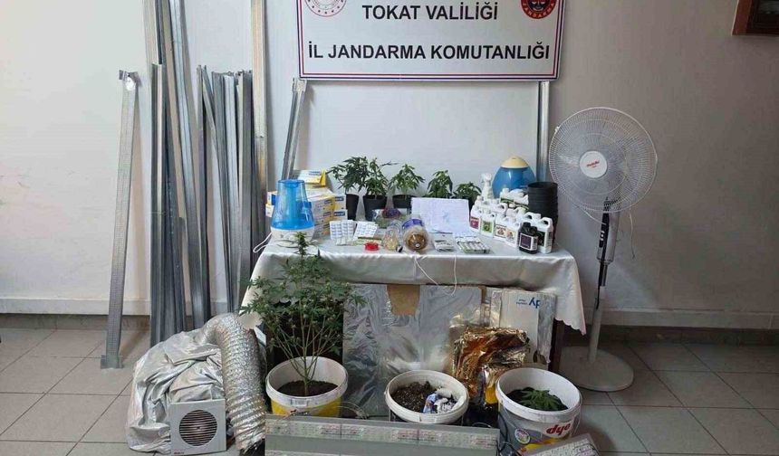 Bilgi notuyla apartman dairesinde uyuşturucu serası kurdular, jandarmadan kaçamadılar