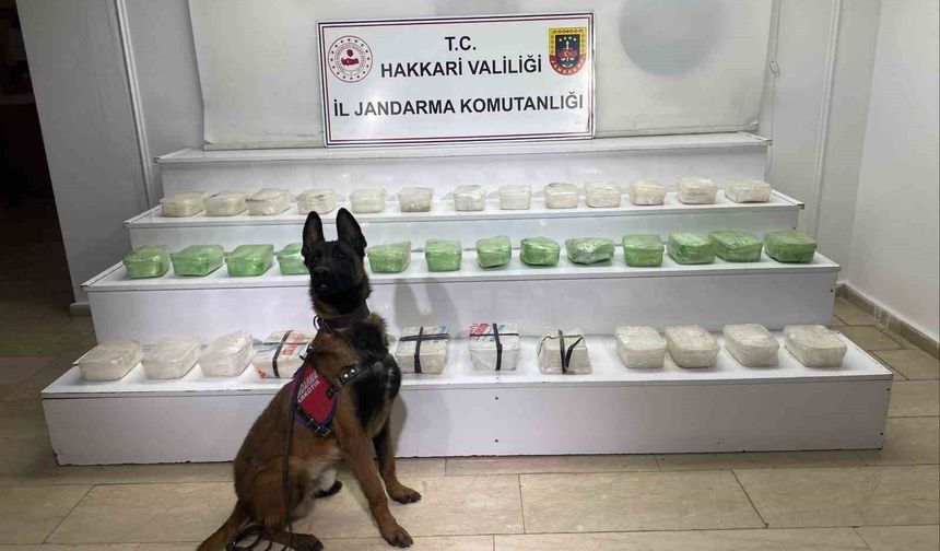 Hakkari'de 43 kilo metamfetamin ele geçirildi