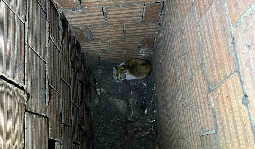 Havalandırma boşluğuna düşen kedi kurtarıldı