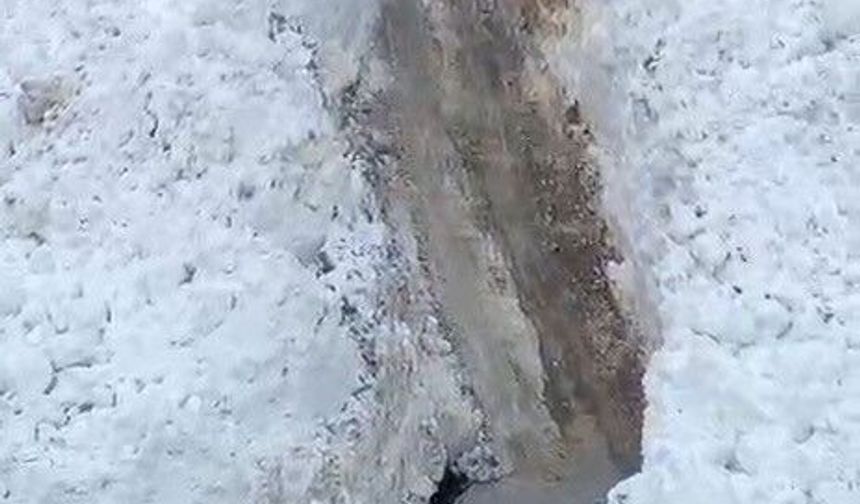 Hizan'da köy yoluna çığ düştü