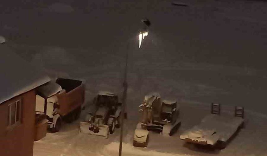 Kar ve soğuğa rağmen elektrik direğinde ayakta duran Leylek dikkat çekti