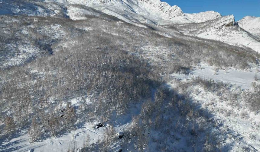 Şırnak'ta kar sonrası dağlar beyaza büründü