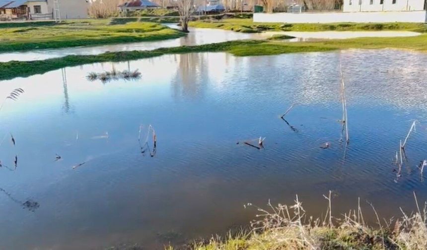 Ağrı'da sağanak nedeniyle dereler taştı