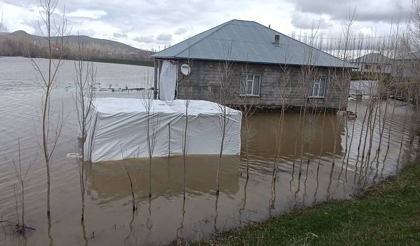 Ağrı'da sağanak yağış sonucu dereler taştı
