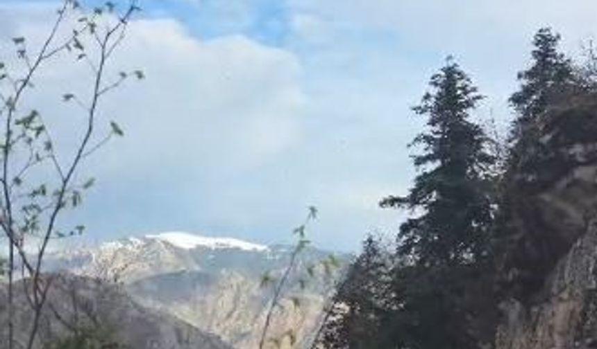 Artvin'de yaylada düşerek yaralanan vatandaş helikopterle kurtarıldı