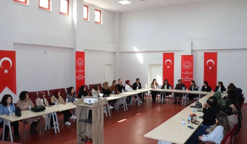 Bilecik'te 'Psikolojik İlk Yardım, Kayıp ve Yas Eğitim Programı' başladı