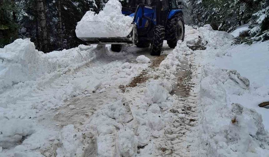 Bolu'da karla kaplanan yayla yollarını köylüler açtı