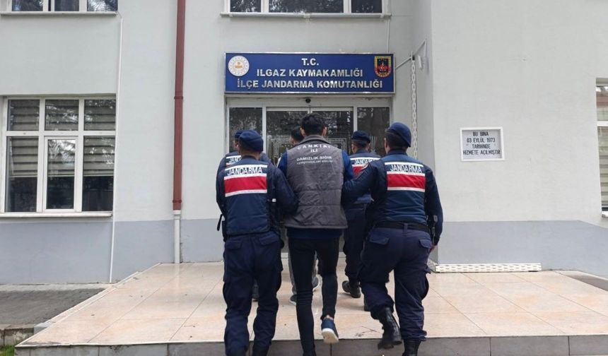 Çankırı'da büyükbaş hayvan çalan şahıslar tutuklandı