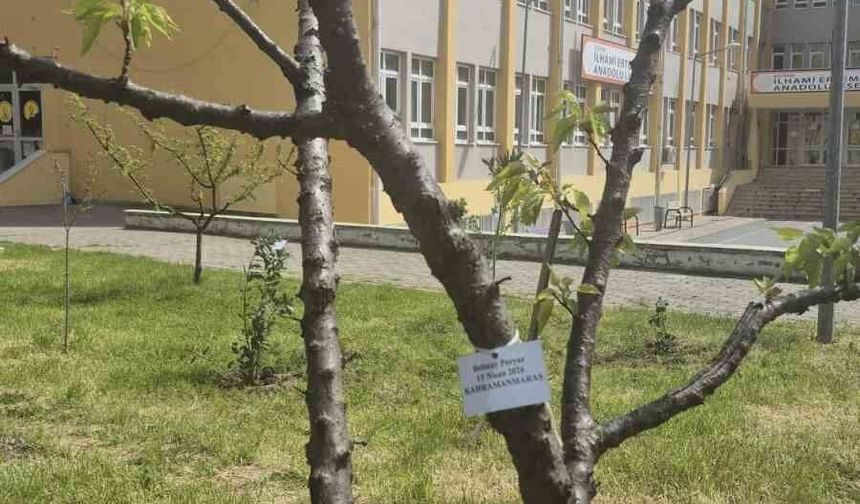Edirne İlhami Ertem Anadolu Lisesi öğrencilerinden anlamlı etkinlik