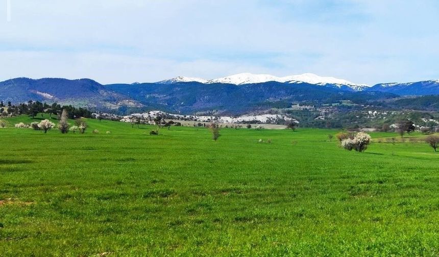 Gediz'de bahar aylarının getirdiği güzellik büyülüyor