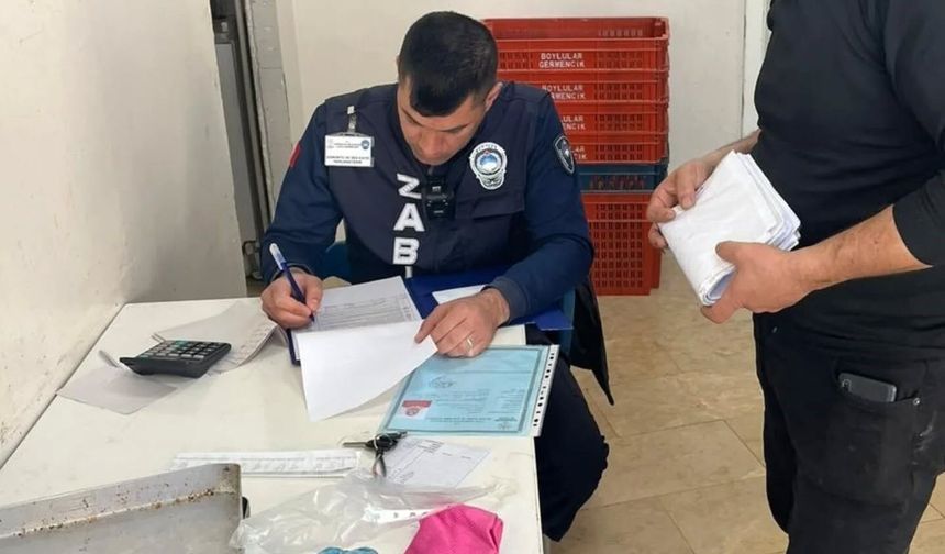 Germencik'te ruhsatlar kontrol edildi