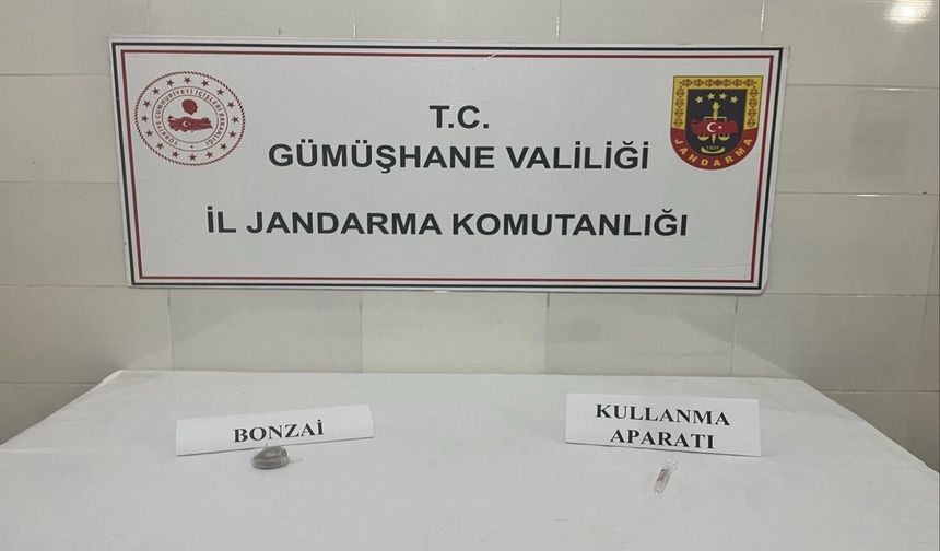 Gümüşhane'de uyuşturucu operasyonunda 1 şüpheli yakalandı