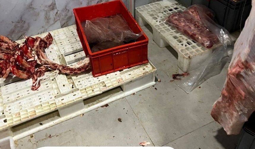 Hijyen kurallarının hiçe sayıldığı işletmeye 300 bin liranın üzerinde ceza