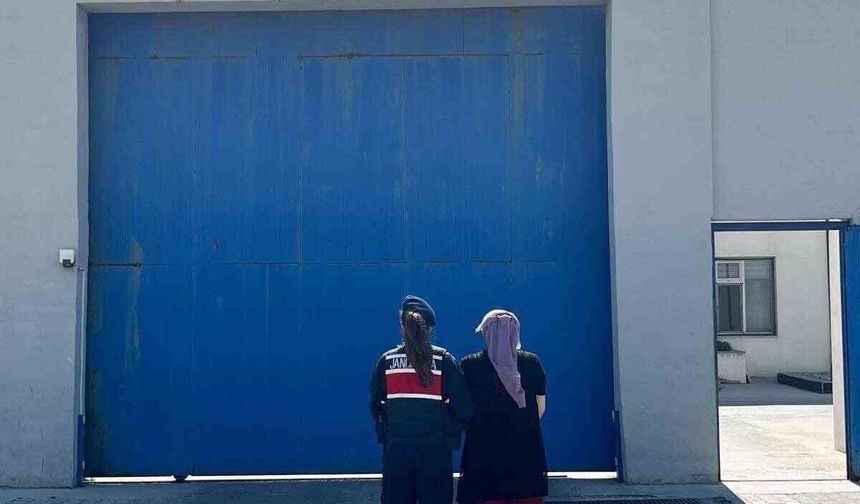 Jandarma 10 yıl hapis cezasıyla aranan şahsı yakaladı