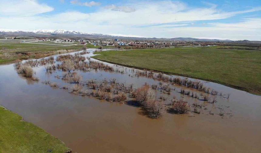 Kars Çayı taştı: Ağaçlar sular altında kaldı
