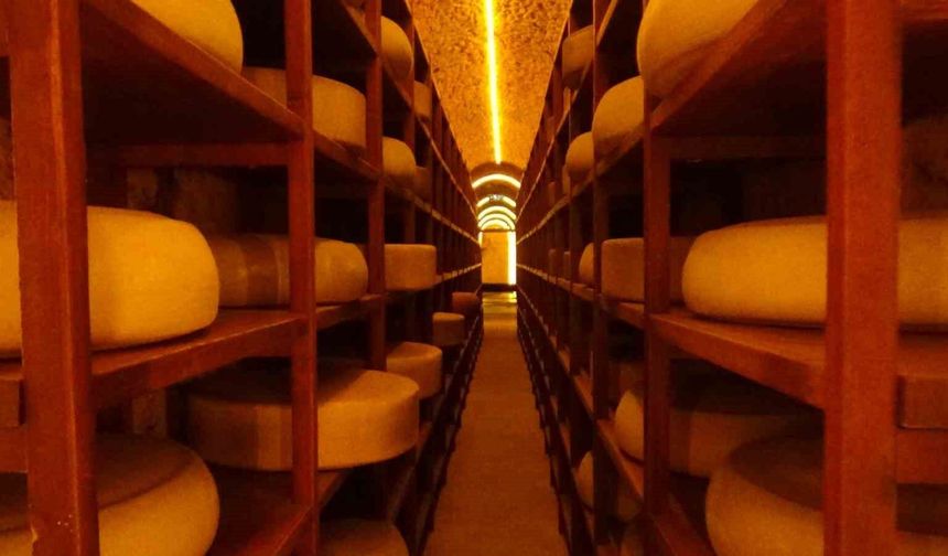 Kars Peynir Müzesi turistlerin gözdesi oldu