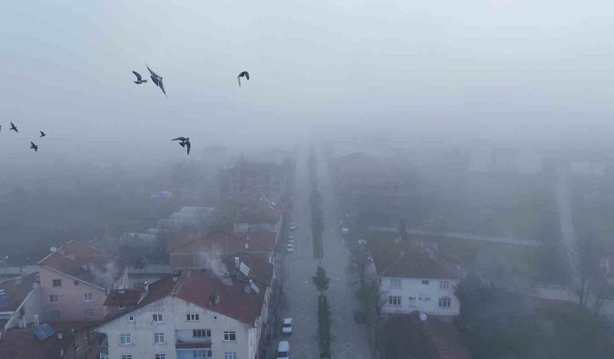 Kastamonu'da yoğun sis