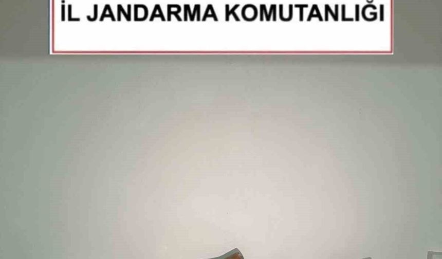 Kırşehir'de kaçak kazıya suçüstü: 2 gözaltı