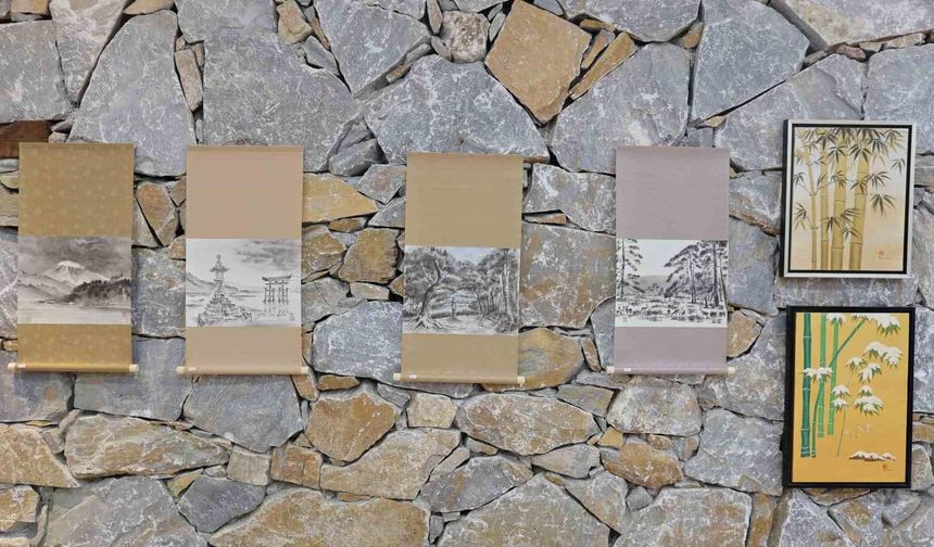 Kırşehir'de Sakura Festivali ve Plastik Sanatlar Sergisi Açıldı